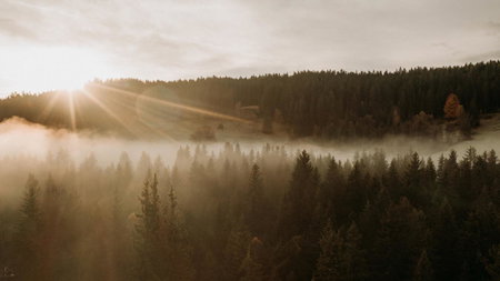 Black Forest Dream Apartments, Feldberg, Germany