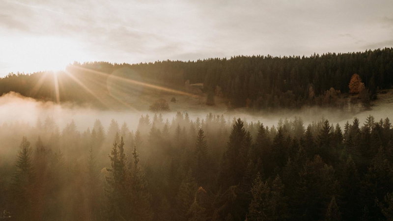 Black Forest Dream Apartments, Feldberg, Germany
