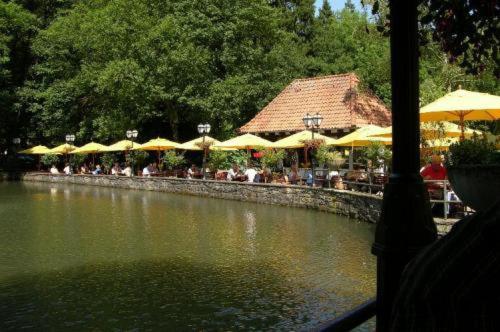 Waldhotel Silbermühle, Horn-Bad Meinberg, Germany