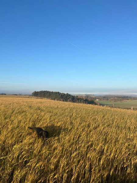 East Learmouth Lakeside Lodges, Cornhill-on-tweed, United Kingdom