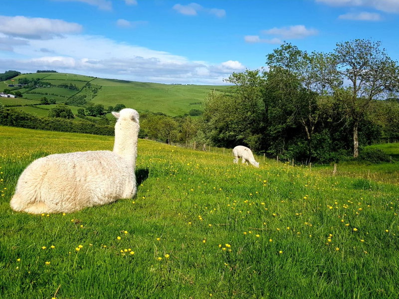 HOBLEY House Holiday, Craven Arms, United Kingdom