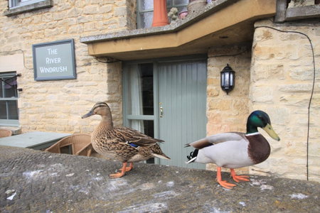 The Riverside, Lechlade, United Kingdom