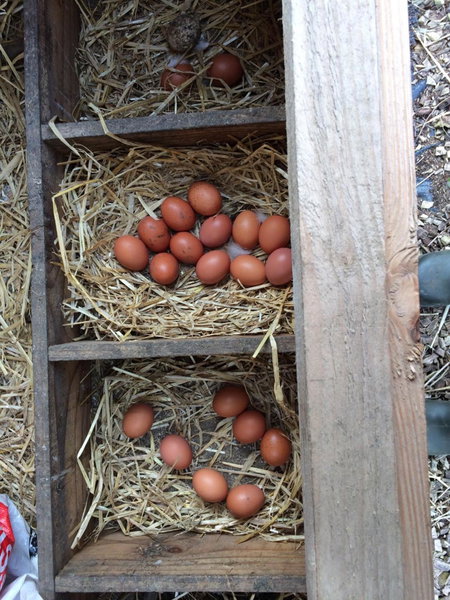 Bower Pods, Bowermadden, United Kingdom