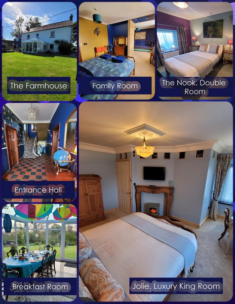 Farmhouse B&B Family stay or Romantic break, on our smallholding close to Narberth, Narberth, United Kingdom