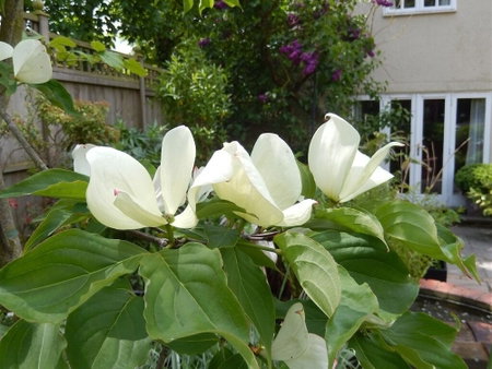 Motts Cottage, Dunmow, United Kingdom