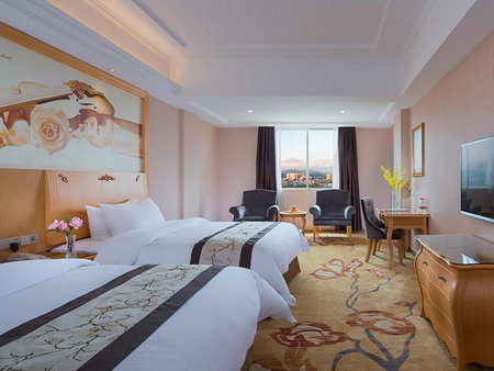 Vienna Hotel(Yangchun International Shop ), Yangchun, China