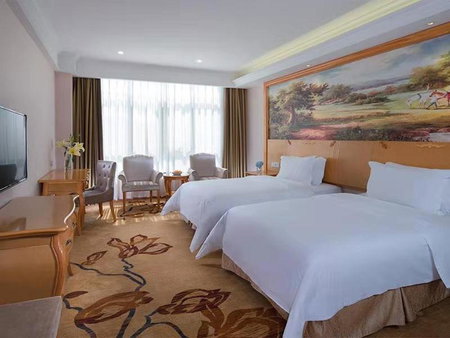 Vienna Hotel(Yangchun International Shop ), Yangchun, China