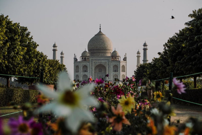 Moustache Agra, Agra, India