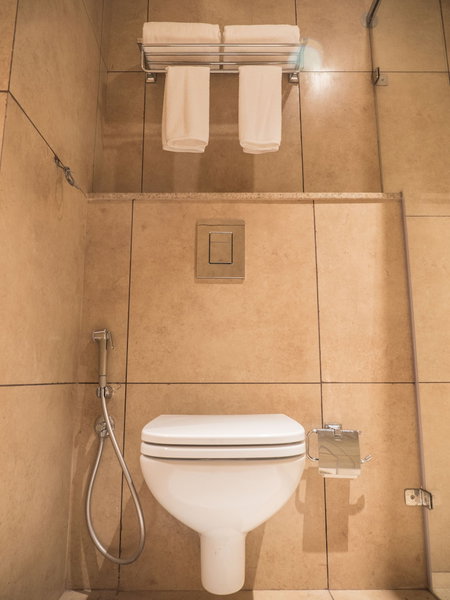 Cholaa Dynasty - A Bergamont Hotel, Kumbakonam, India