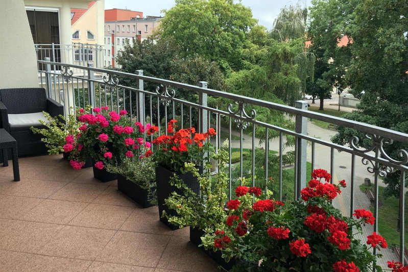 Apartament Polonia, Ełk, Poland