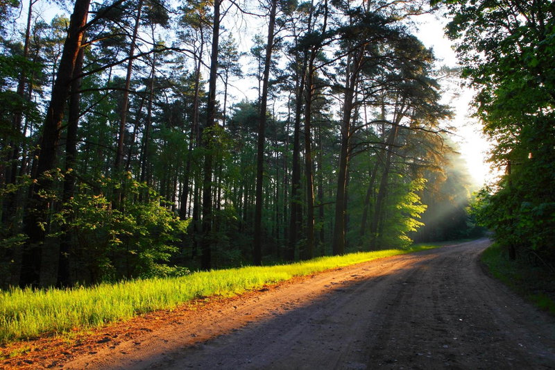 Ośrodek Wrzos, Boruja, Poland