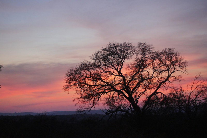 The Fever Tree Guest House, Hluhluwe, South Africa