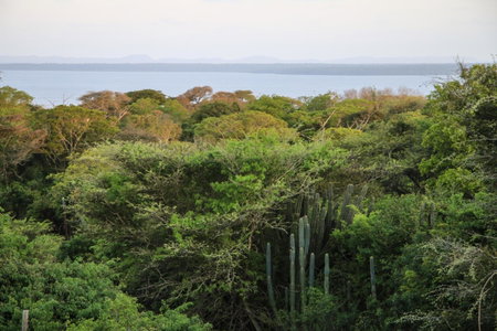 Santa Rosa, Hluhluwe, South Africa