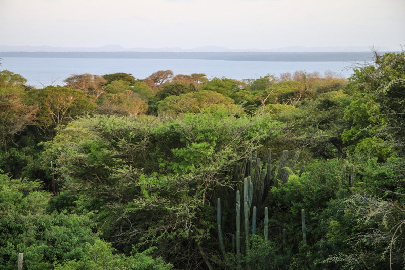 Santa Rosa, Hluhluwe, South Africa