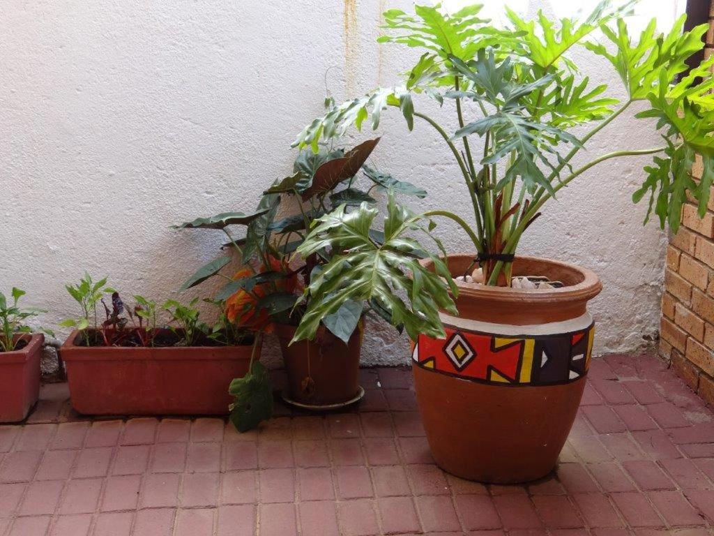Hotel · Flossie B&B, Pimville