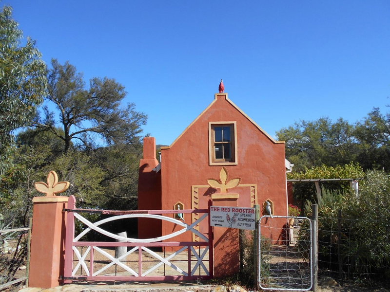 Red Rooster, Barrydale, South Africa