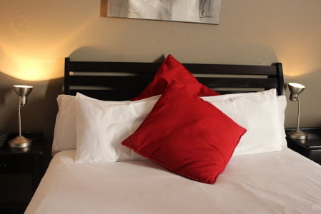 Flamboyant Guest Lodge, Sandton, South Africa