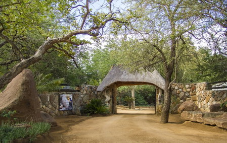 LittleBush Private Lodge, Hoedspruit, South Africa