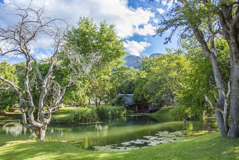 LittleBush Private Lodge, Hoedspruit, South Africa