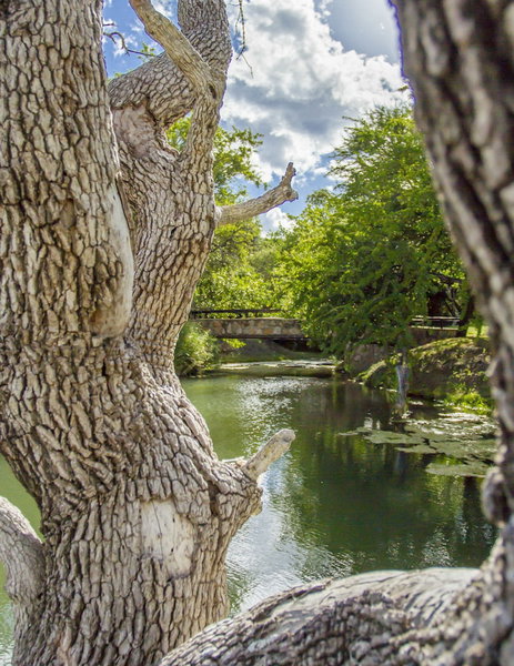 LittleBush Private Lodge, Hoedspruit, South Africa