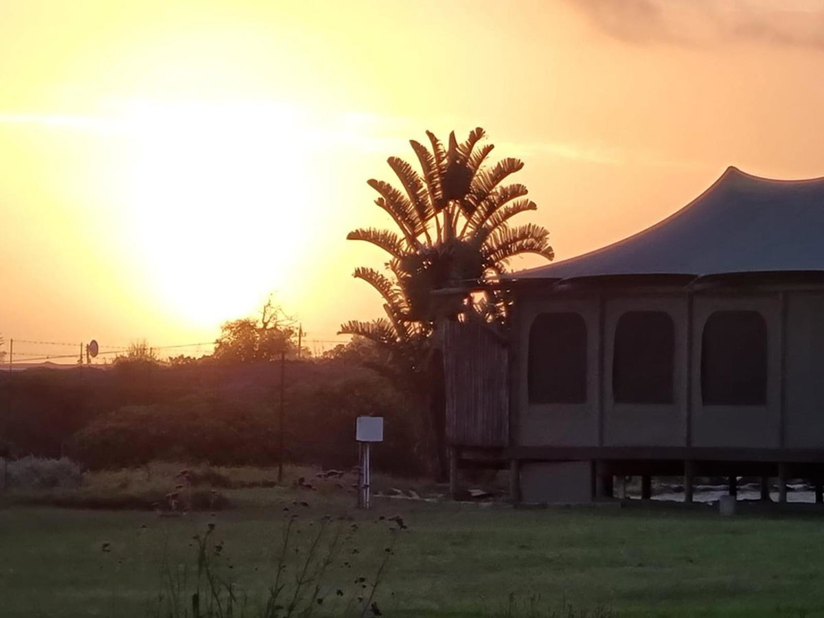 Hillcrest Lodge Tents - Sandstone, South Africa
