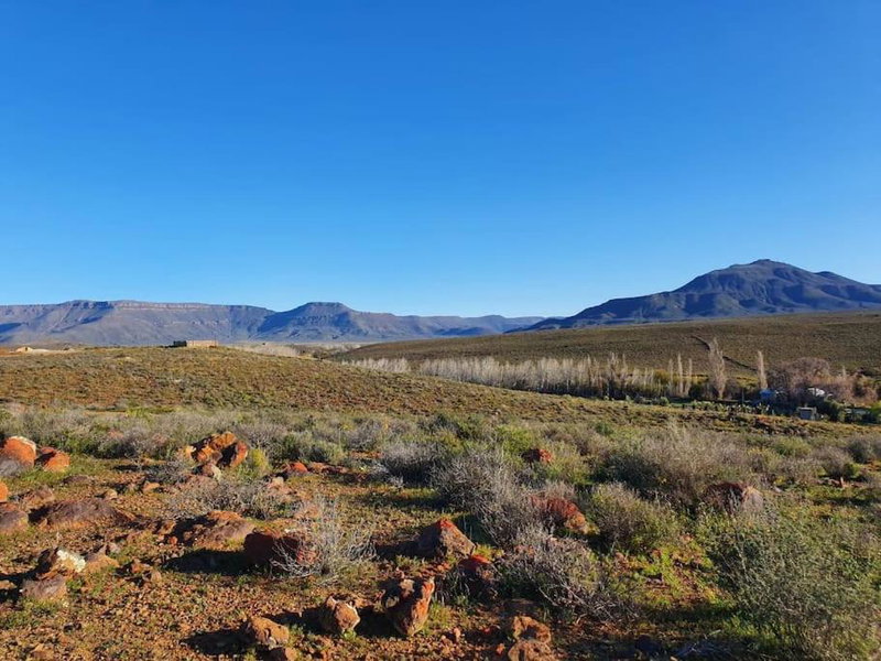 Namakwa Country Cottage, Calvinia, South Africa