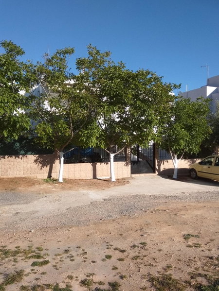 Nina Rooms (apartments), Artemida, Greece