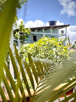 Casa Palmeira, Pipa, Brazil