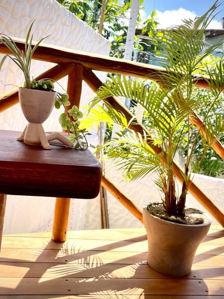 Casa Palmeira, Pipa, Brazil