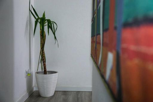 Casa Grainha Vidigueira, Vidigueira, Portugal