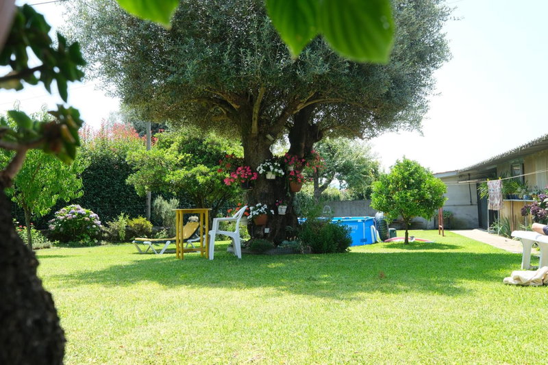 Quintinha d´Avó, Vila de Prado, Portugal