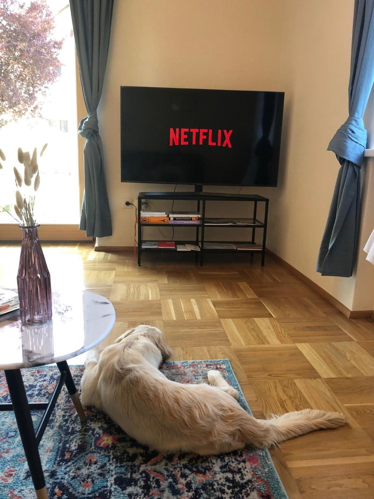 MILLIEs hosting - Familienurlaub mit Hund in Kärnten, Austria