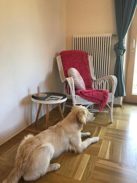 MILLIEs hosting - Familienurlaub mit Hund in Kärnten, Sankt Paul im Lavanttal, Austria