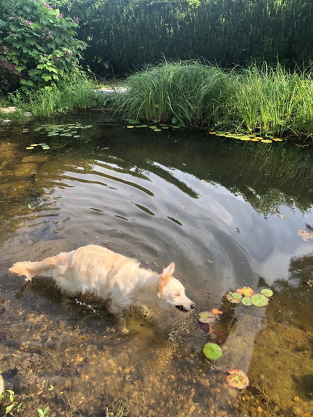 MILLIEs hosting - Familienurlaub mit Hund in Kärnten, Sankt Paul im Lavanttal, Austria