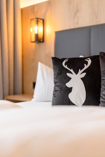 Hotel Alphof Stubaital, Fulpmes, Austria