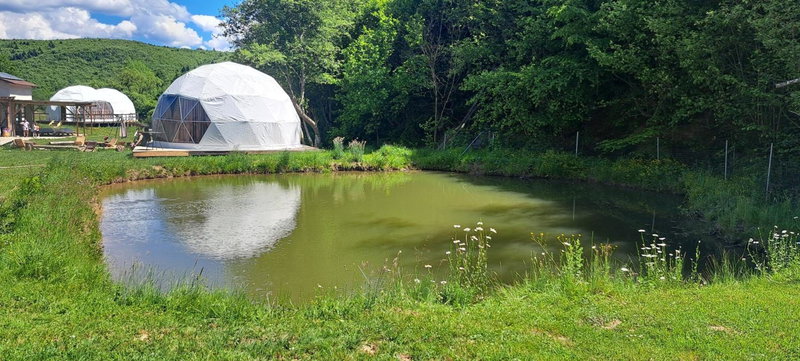 Forest Glamping, Braşov, Romania
