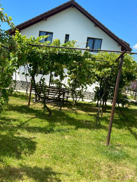 Pensiunea Alina, Baia de Fier, Romania