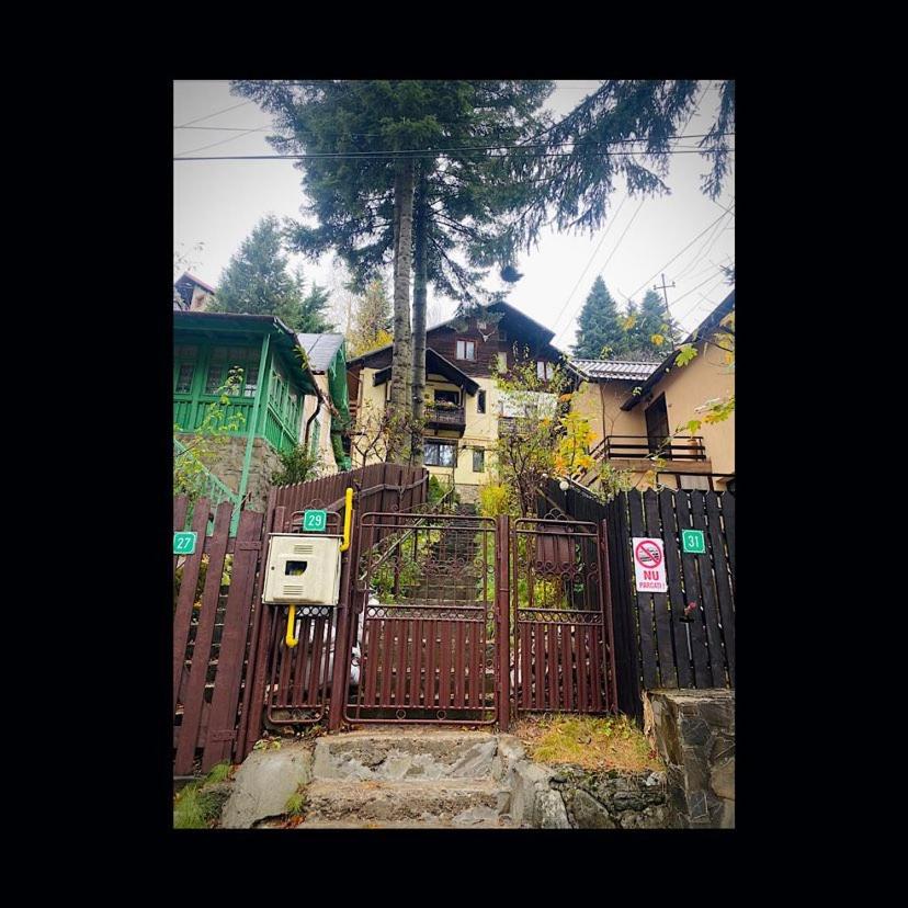 Hotel · Pensiunea Nick, Sinaia