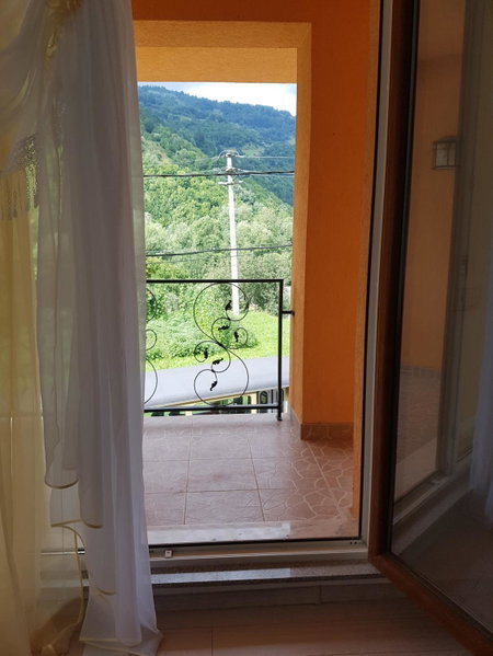 Casa Ile, Vişeu de Sus, Romania