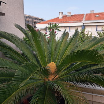Apartman FOX, Split, Croatia