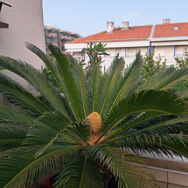 Apartman FOX, Split, Croatia