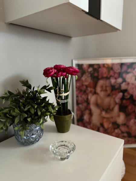 Apartman Tunja, Vir, Croatia