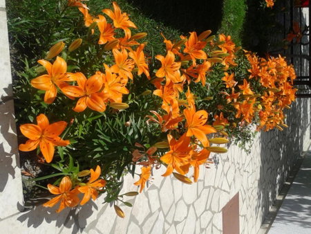 Apartment and Rooms Markovic, Senj, Croatia
