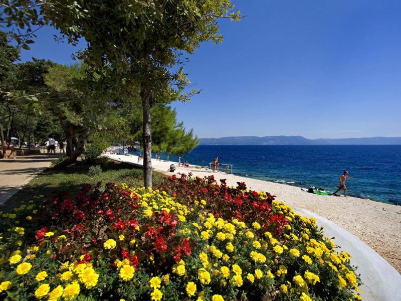Apartment Gabi, Labin, Croatia