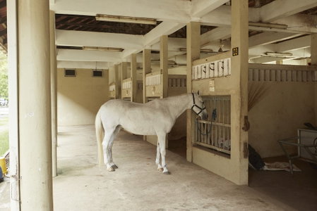 Terengganu Equestrian Resort, Kuala Terengganu, Malaysia