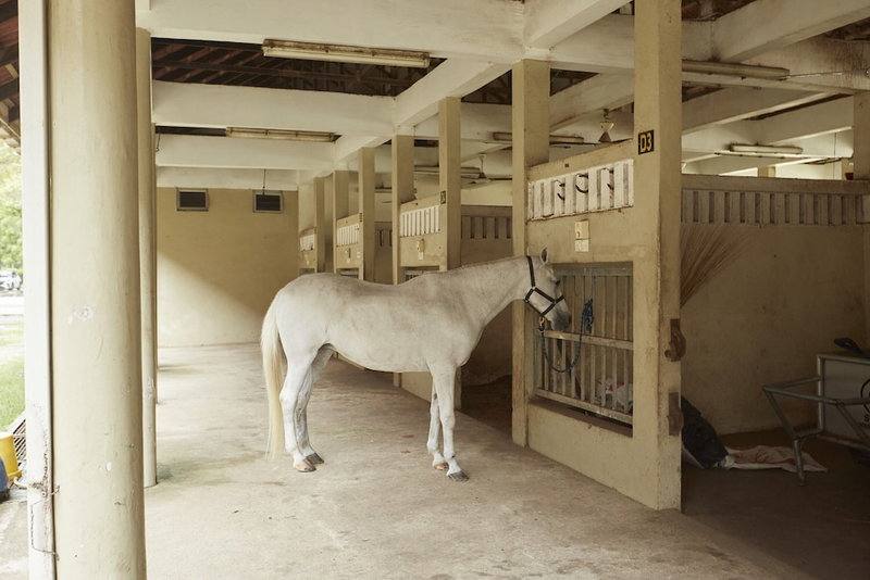 Terengganu Equestrian Resort, Kuala Terengganu, Malaysia