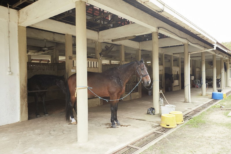 Terengganu Equestrian Resort, Kuala Terengganu, Malaysia
