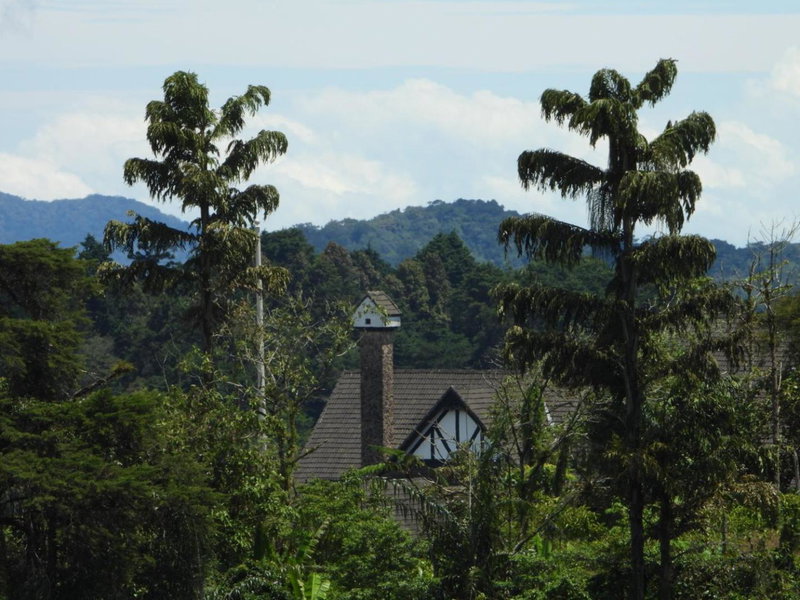 Bugdet Apartment, Brinchang, Malaysia