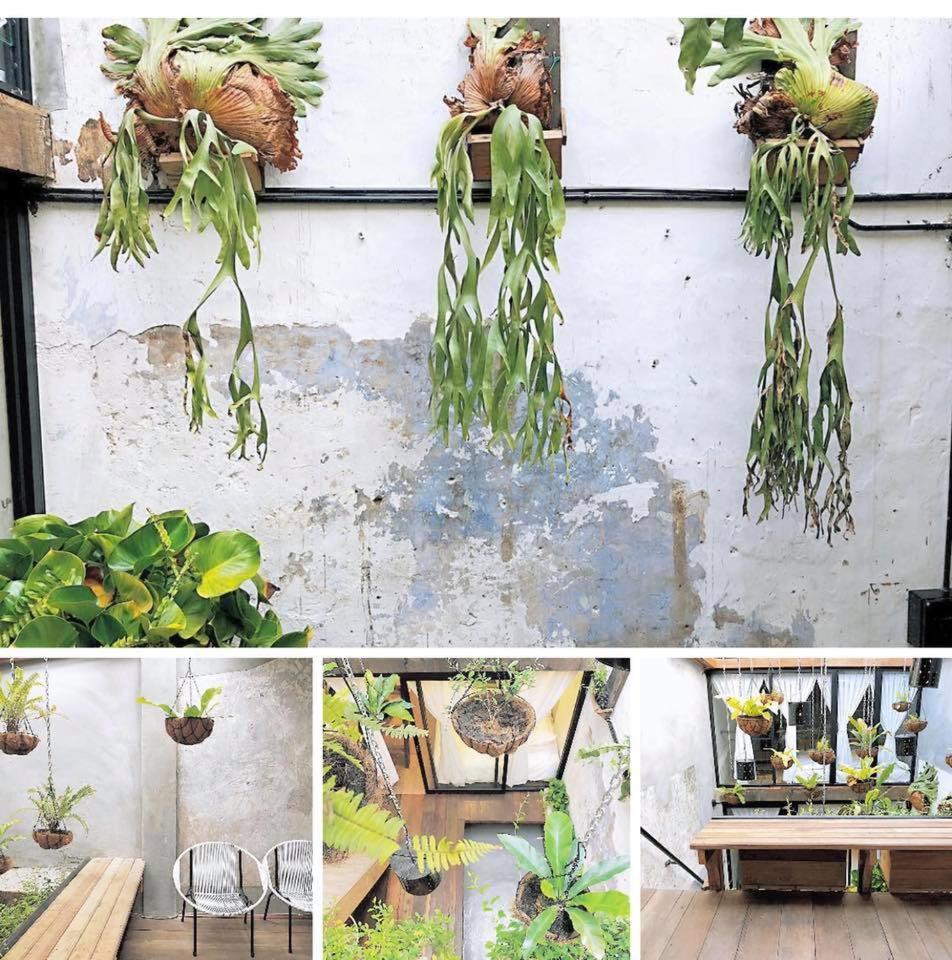 Rimba Jonker With Private Pool -10 Pax 2B/R, Malaysia