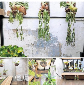 Rimba Jonker With Private Pool -10 Pax 2B/R, Melaka, Malaysia
